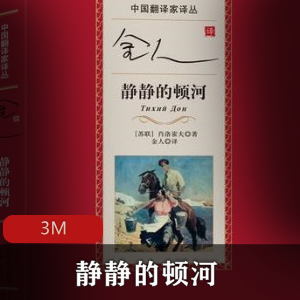 （静静的顿河）原文txt下载