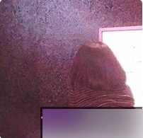 推特@《一只喔彩虹》DADIBABAO日常推文