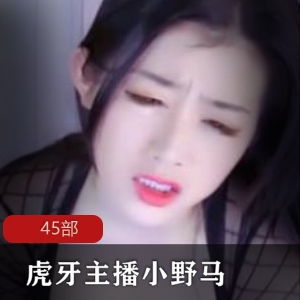 虎牙主播小野马的45部商品