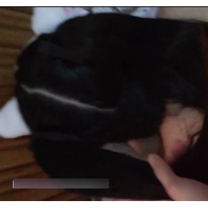 白皙嫩B的双马尾美少女私拍照片，高清质量，共有244MB，可通过度盘下载。