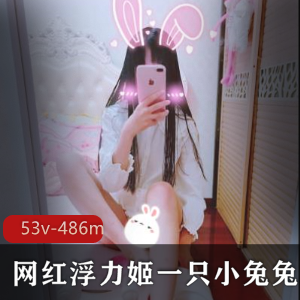 神秘宝藏浮力姬一只小兔兔最新合集8P53V486MB，粉嫩诱人，百度云分享