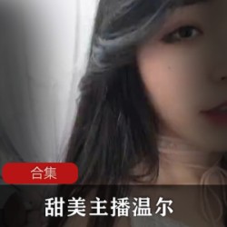 小蓝鸟温尔60部经典合集50G珍藏版