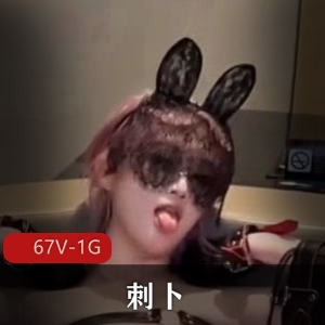 小蓝鸟@刺卜绝密珍藏67部1G超绝视角