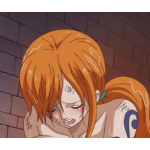 海贼王娜美去衣珍藏20部1.11G火影纲手绝妙剪辑