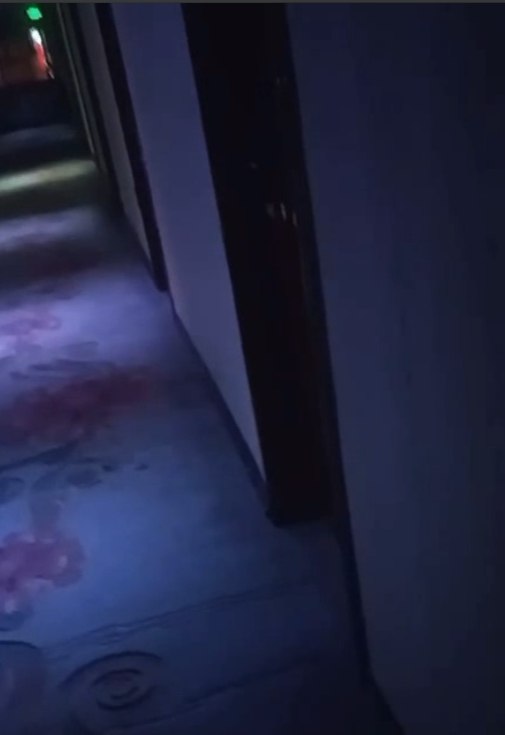 走廊实录民宿偷听91段6.48G深夜交响曲