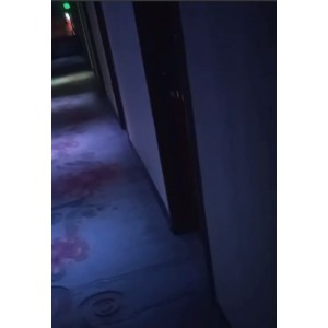 走廊实录民宿偷听91段6.48G深夜交响曲